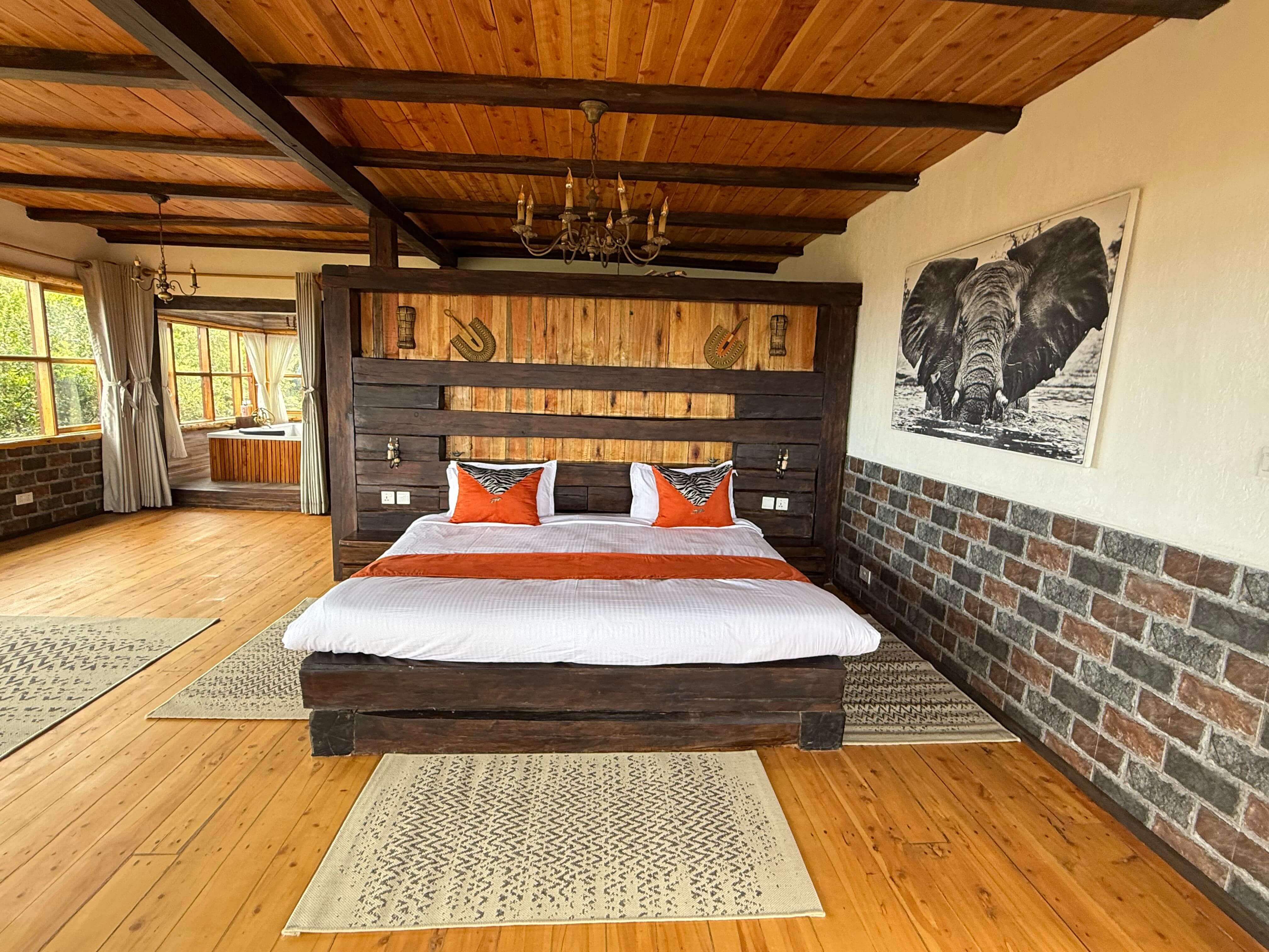 Elephants and a hot air balloon in Laikipia