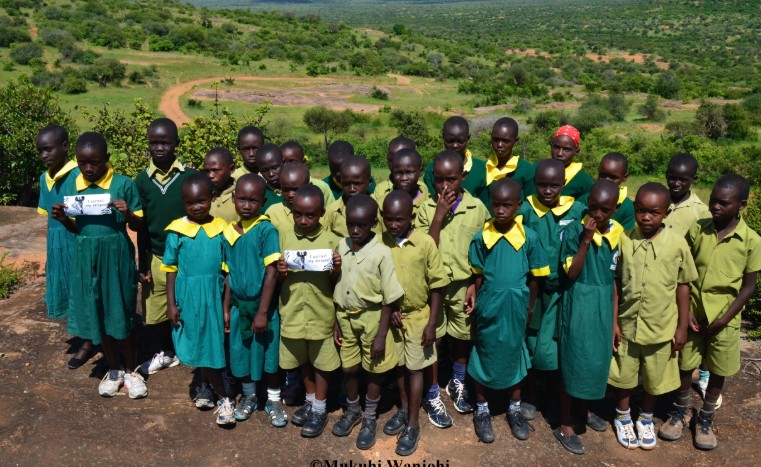 Reticulated giraffes