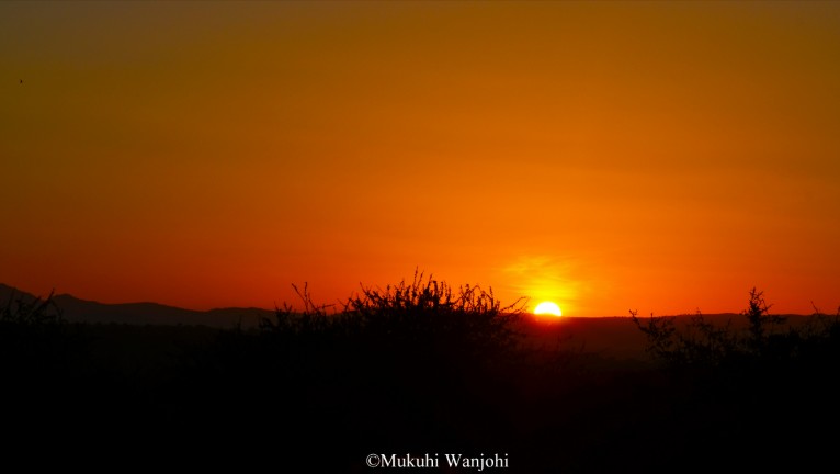 The bow (Mpala research center)