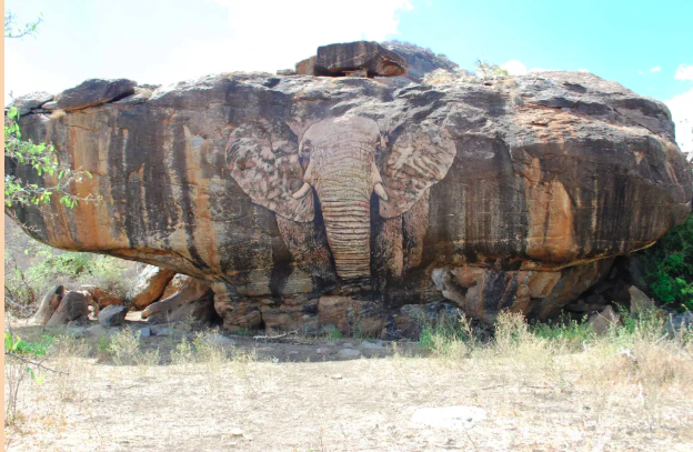 RETETI ELEPHANT SANCTUARY